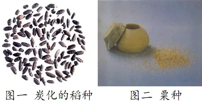 7上历史第一次检测试卷(1-6课)含答案-第15张图片-四季读书网