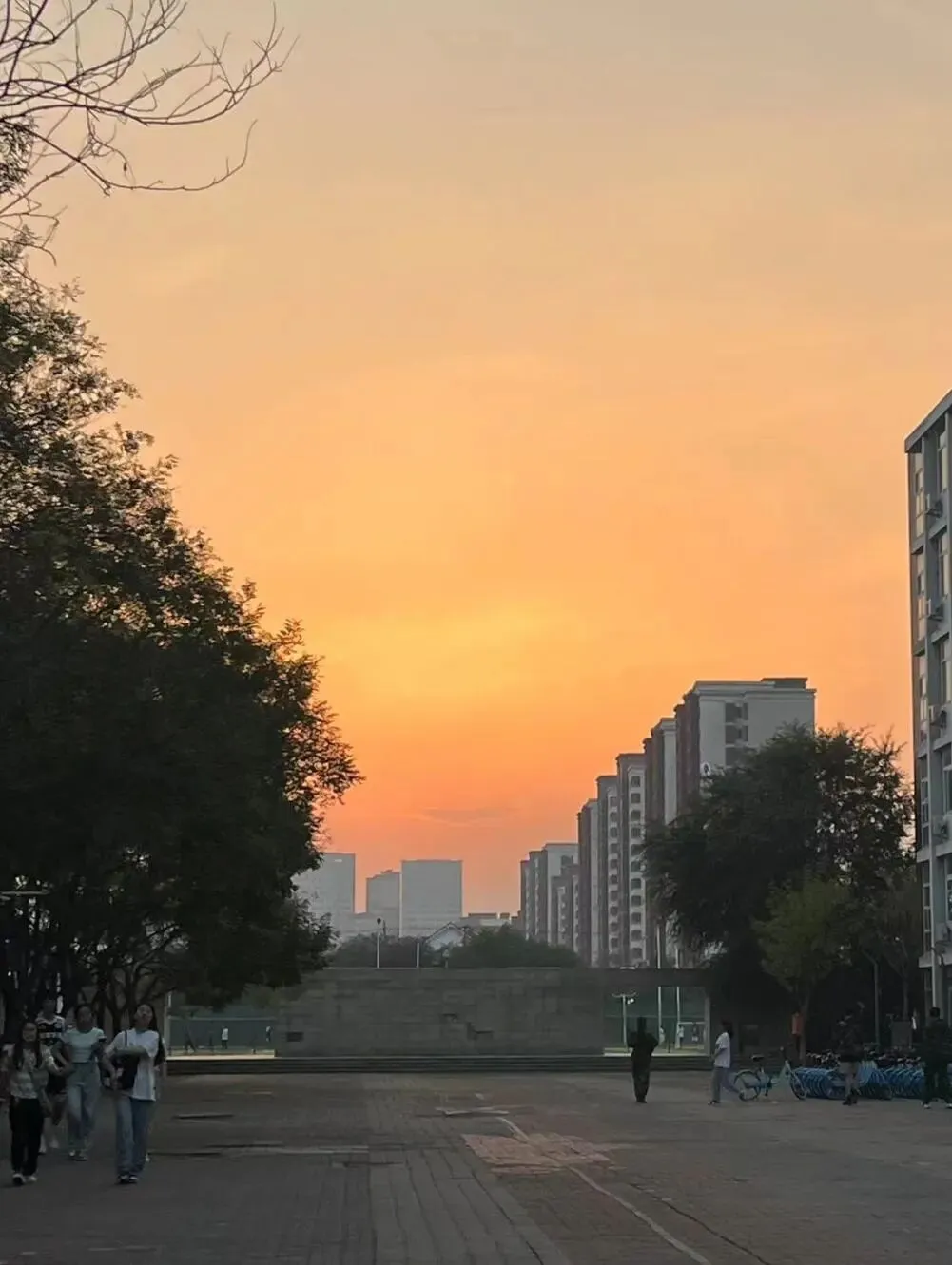 重磅 | 27考研天师大347第一次模考来袭!!-第19张图片-四季读书网 重磅 | 27考研天师大347第一次模考来袭!!-第19张图片-四季读书网