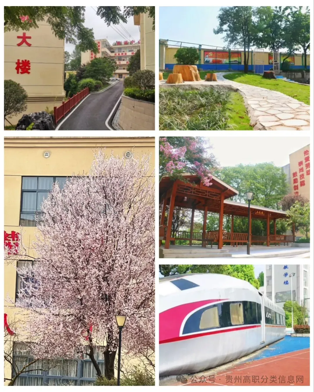 贵阳市国家级重点公办中专—招收初三应往届毕业生-第22张图片-四季读书网