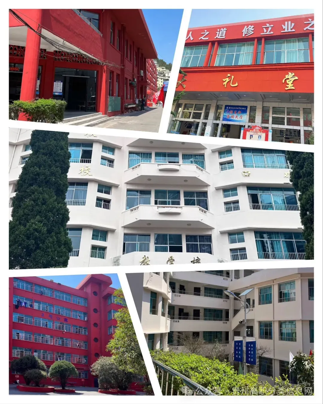 贵阳市国家级重点公办中专—招收初三应往届毕业生-第54张图片-四季读书网