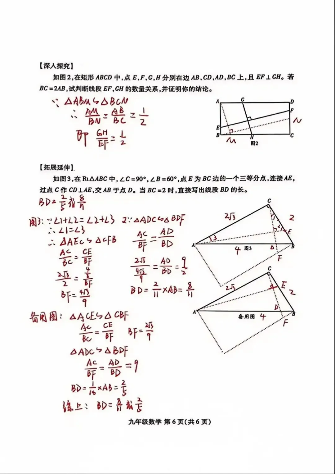 2025潍坊上学期九年级数学期中试卷-第6张图片-四季读书网