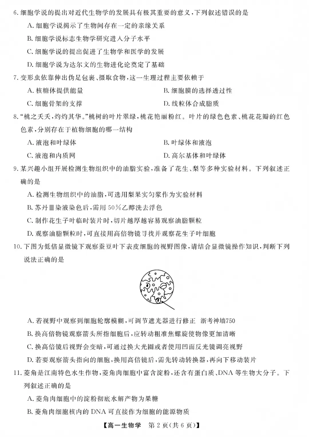 高一强基联盟全科试卷分享!-第67张图片-四季读书网
