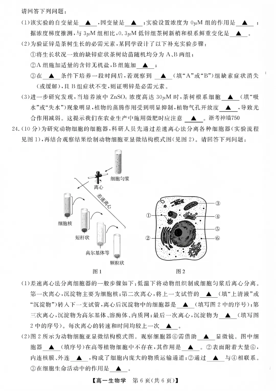 高一强基联盟全科试卷分享!-第71张图片-四季读书网