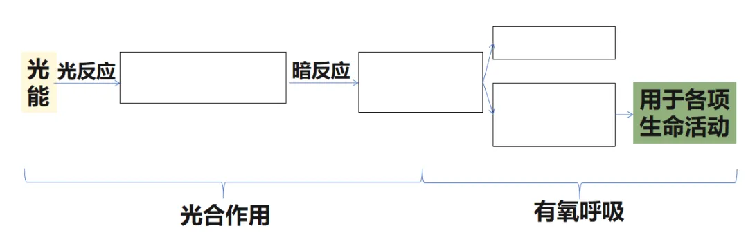 山东高考每日一练(21)-第3张图片-四季读书网 山东高考每日一练(21)-第3张图片-四季读书网