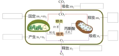 山东高考每日一练(21)-第4张图片-四季读书网 山东高考每日一练(21)-第4张图片-四季读书网