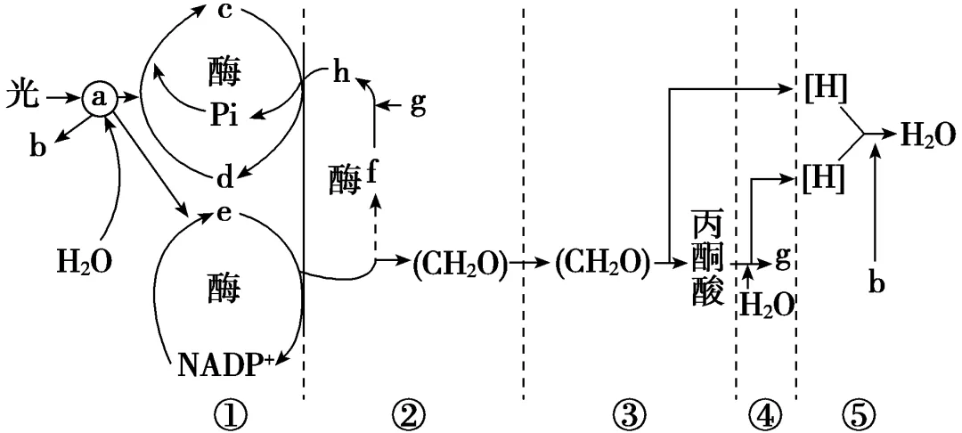 山东高考每日一练(21)-第6张图片-四季读书网 山东高考每日一练(21)-第6张图片-四季读书网