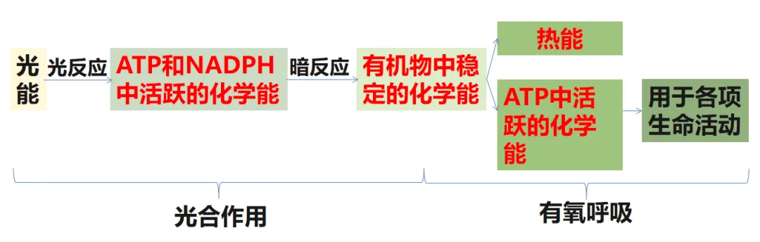 山东高考每日一练(21)-第7张图片-四季读书网 山东高考每日一练(21)-第7张图片-四季读书网