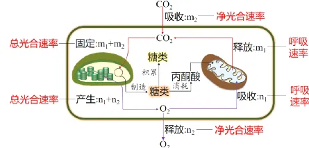 山东高考每日一练(21)-第8张图片-四季读书网 山东高考每日一练(21)-第8张图片-四季读书网