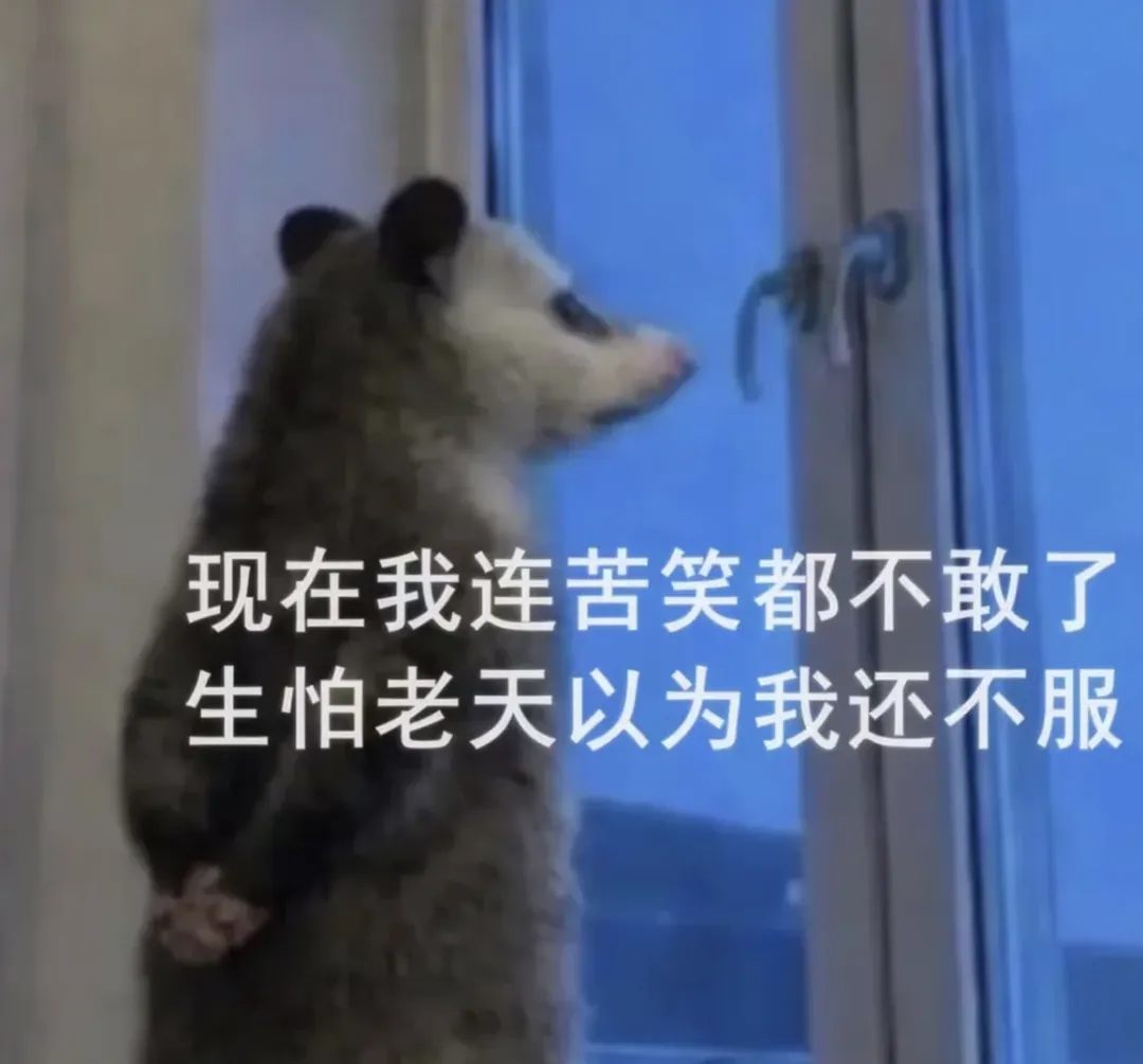 高考结束的人生像是上了发条,二十多岁的大学生就是容易急急急-第1张图片-四季读书网 高考结束的人生像是上了发条,二十多岁的大学生就是容易急急急-第1张图片-四季读书网