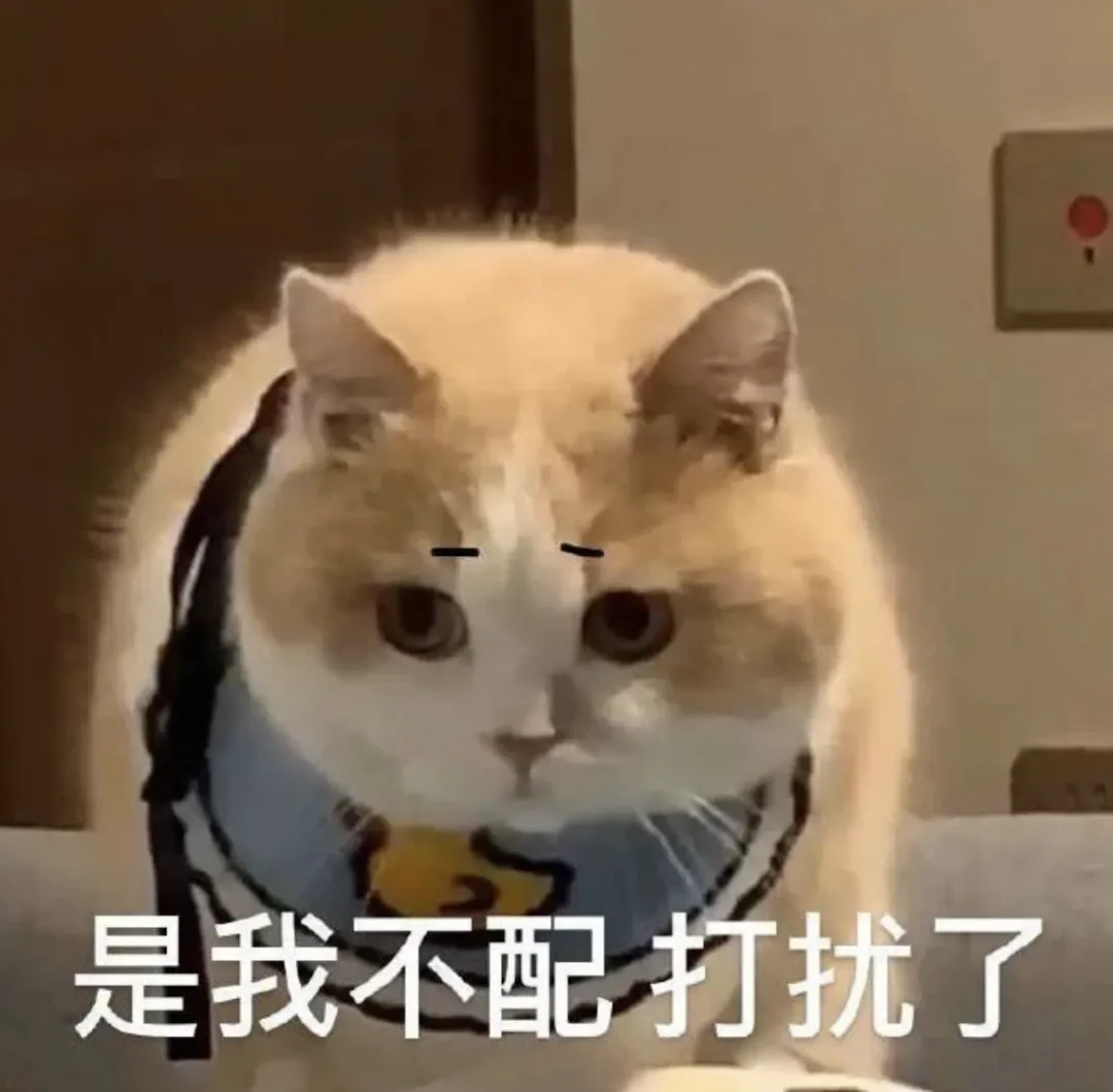 高考结束的人生像是上了发条,二十多岁的大学生就是容易急急急-第3张图片-四季读书网 高考结束的人生像是上了发条,二十多岁的大学生就是容易急急急-第3张图片-四季读书网