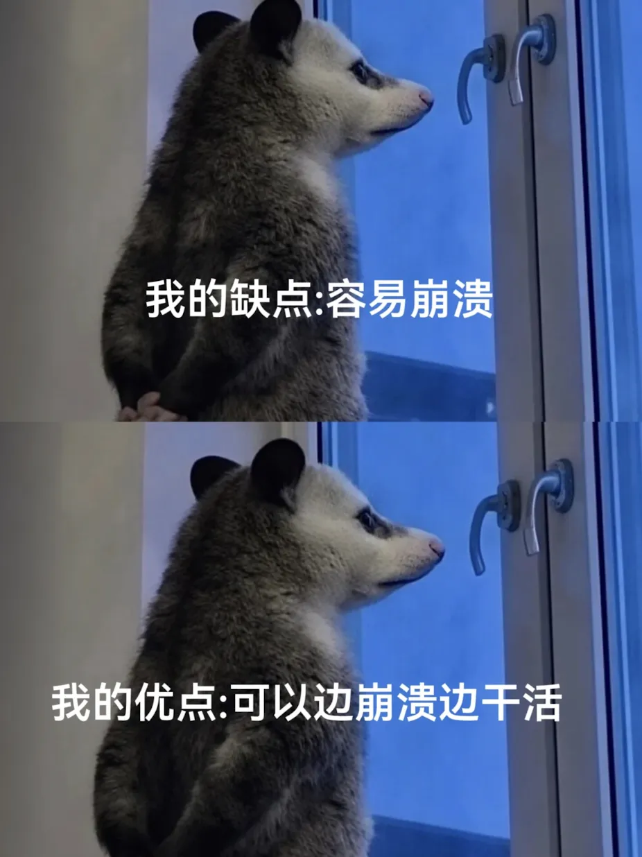 高考结束的人生像是上了发条,二十多岁的大学生就是容易急急急-第5张图片-四季读书网 高考结束的人生像是上了发条,二十多岁的大学生就是容易急急急-第5张图片-四季读书网