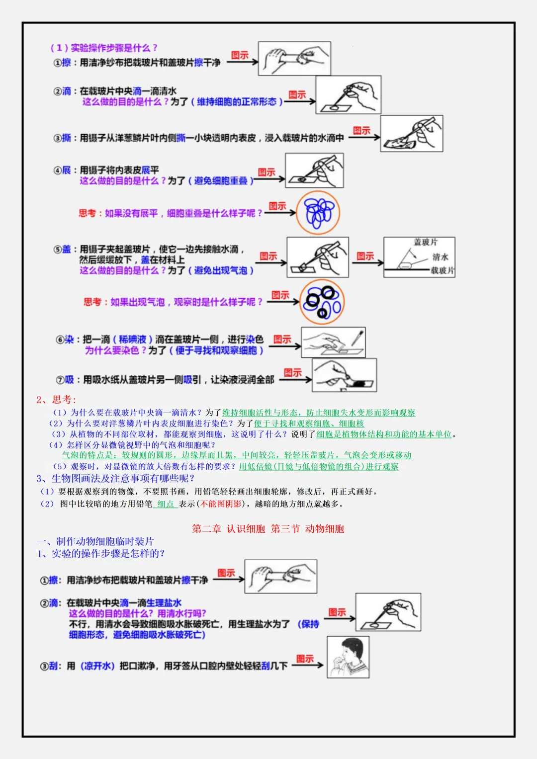 【初一】2026秋七年级上册生物全册必背常考知识点总结,有完整版可打印,建议家长领取一份打印给孩子!-第6张图片-四季读书网 【初一】2026秋七年级上册生物全册必背常考知识点总结,有完整版可打印,建议家长领取一份打印给孩子!-第6张图片-四季读书网