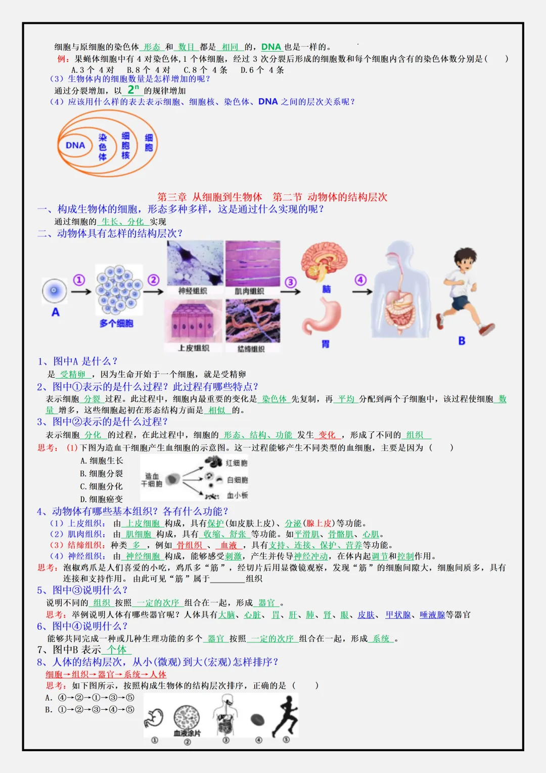 【初一】2026秋七年级上册生物全册必背常考知识点总结,有完整版可打印,建议家长领取一份打印给孩子!-第9张图片-四季读书网 【初一】2026秋七年级上册生物全册必背常考知识点总结,有完整版可打印,建议家长领取一份打印给孩子!-第9张图片-四季读书网