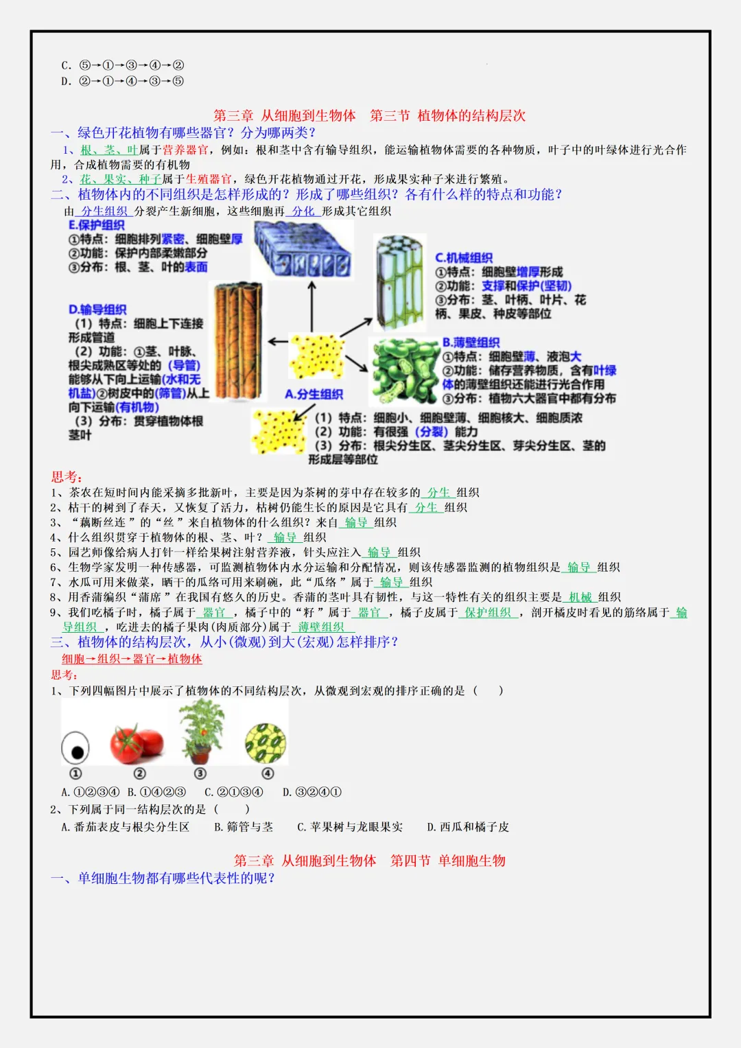【初一】2026秋七年级上册生物全册必背常考知识点总结,有完整版可打印,建议家长领取一份打印给孩子!-第10张图片-四季读书网 【初一】2026秋七年级上册生物全册必背常考知识点总结,有完整版可打印,建议家长领取一份打印给孩子!-第10张图片-四季读书网
