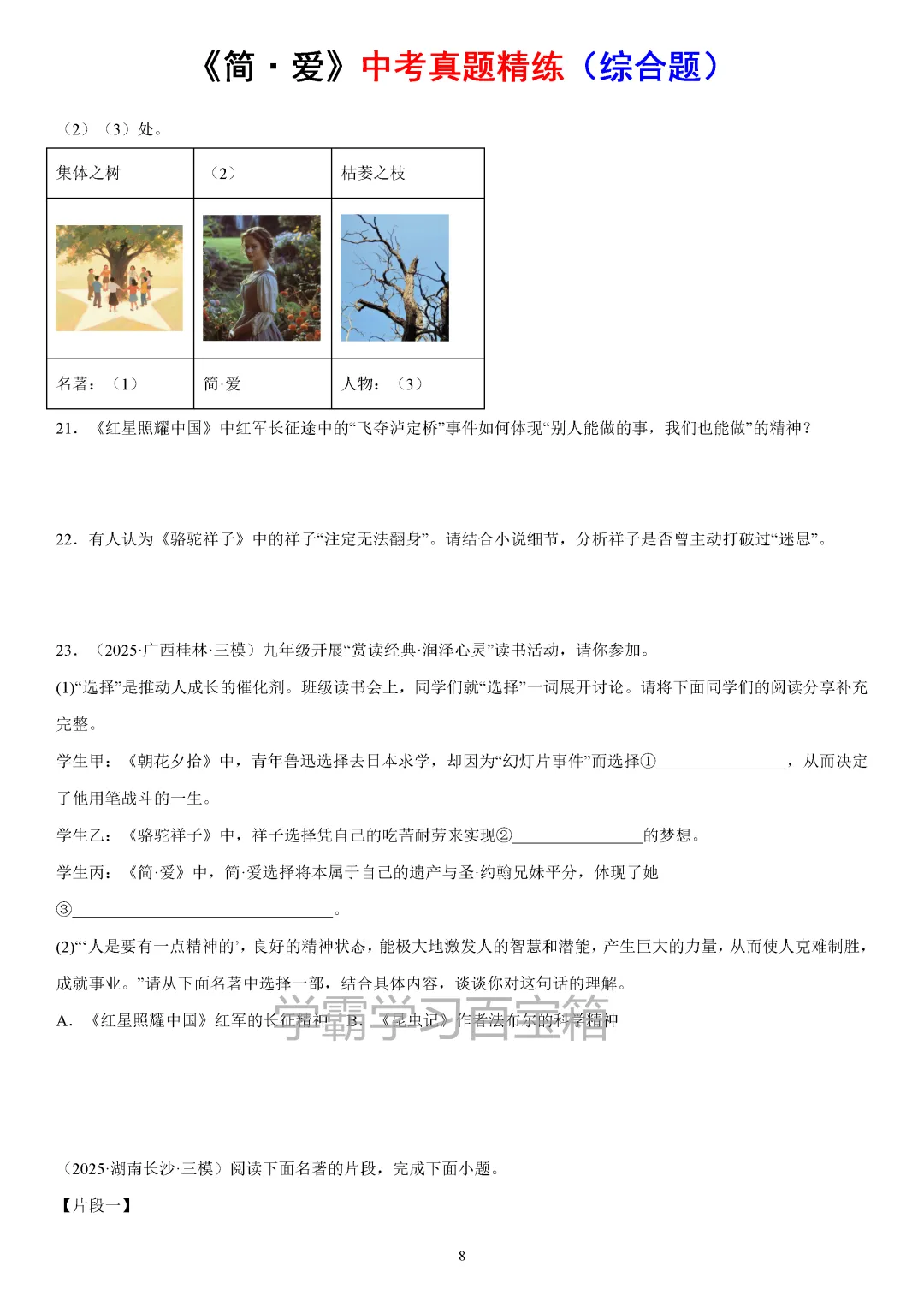 2026年初三九年级全国各地中考真题汇总《简·爱》一轮复习,电子版可打印!-第11张图片-四季读书网