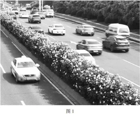 2026年高考北京卷地理真题及官方答案-第1张图片-四季读书网 2026年高考北京卷地理真题及官方答案-第1张图片-四季读书网