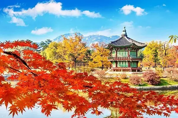 丙午马年农历九月初二登高赏秋有感 文/秦刚余(山东)-第4张图片-四季读书网