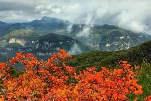 丙午马年农历九月初二登高赏秋有感 文/秦刚余(山东)-第23张图片-四季读书网