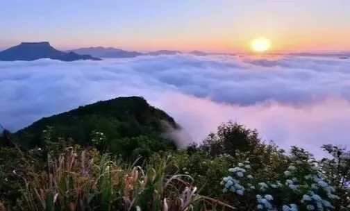 丙午马年农历九月初二登高赏秋有感 文/秦刚余(山东)-第28张图片-四季读书网