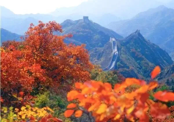 丙午马年农历九月初二登高赏秋有感 文/秦刚余(山东)-第31张图片-四季读书网