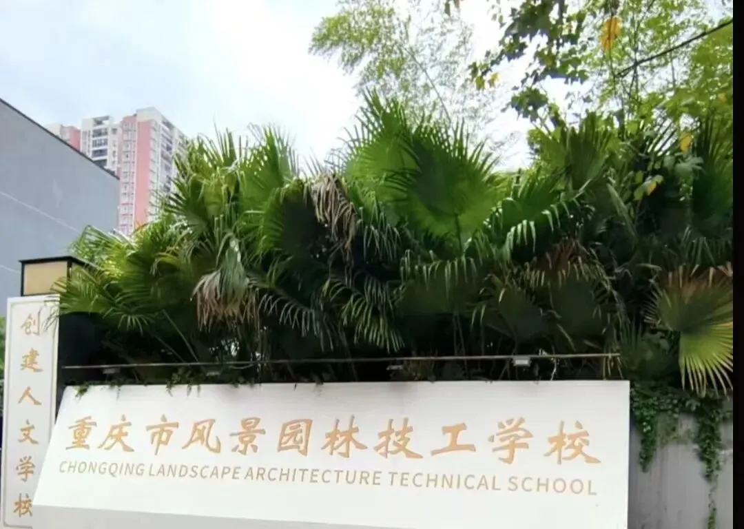 【初三必看】重庆渝中区中职学校推荐!-第6张图片-四季读书网