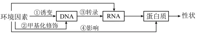生物高考真题 | 2024年高考生物真题(天津卷)-第3张图片-四季读书网