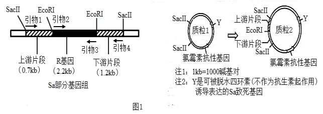 生物高考真题 | 2024年高考生物真题(天津卷)-第6张图片-四季读书网