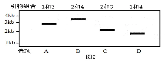 生物高考真题 | 2024年高考生物真题(天津卷)-第7张图片-四季读书网