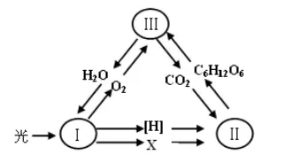 每日一练 | 高考生物专题训练突破!(49)-第6张图片-四季读书网