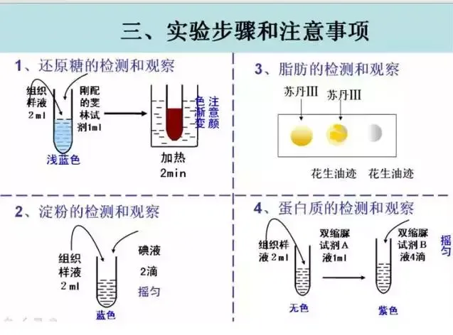 图解16个高考生物实验原理,清晰明了!-第2张图片-四季读书网 图解16个高考生物实验原理,清晰明了!-第2张图片-四季读书网