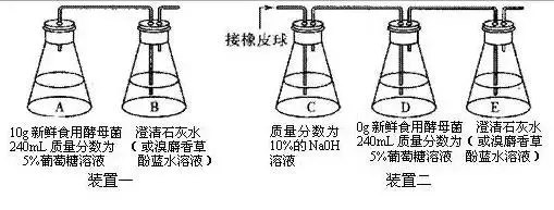 图解16个高考生物实验原理,清晰明了!-第8张图片-四季读书网 图解16个高考生物实验原理,清晰明了!-第8张图片-四季读书网