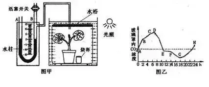 图解16个高考生物实验原理,清晰明了!-第10张图片-四季读书网 图解16个高考生物实验原理,清晰明了!-第10张图片-四季读书网