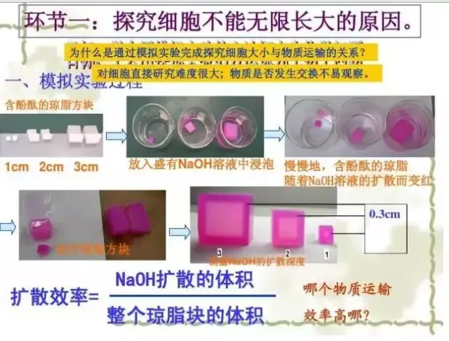 图解16个高考生物实验原理,清晰明了!-第11张图片-四季读书网 图解16个高考生物实验原理,清晰明了!-第11张图片-四季读书网