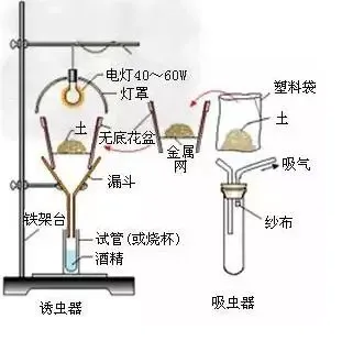 图解16个高考生物实验原理,清晰明了!-第18张图片-四季读书网 图解16个高考生物实验原理,清晰明了!-第18张图片-四季读书网