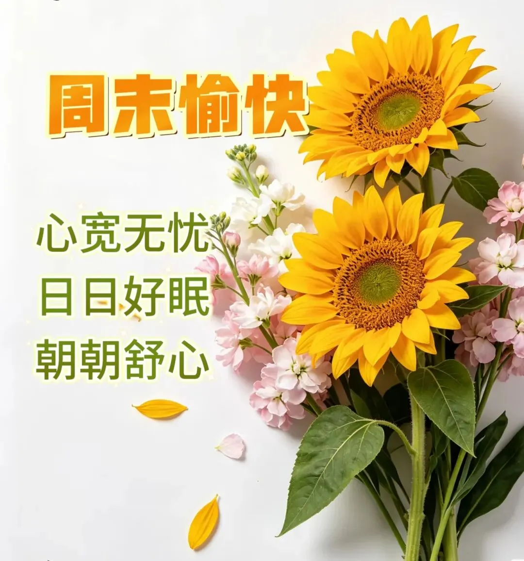 周日愉快丨261011九月初二周日-第2张图片-四季读书网