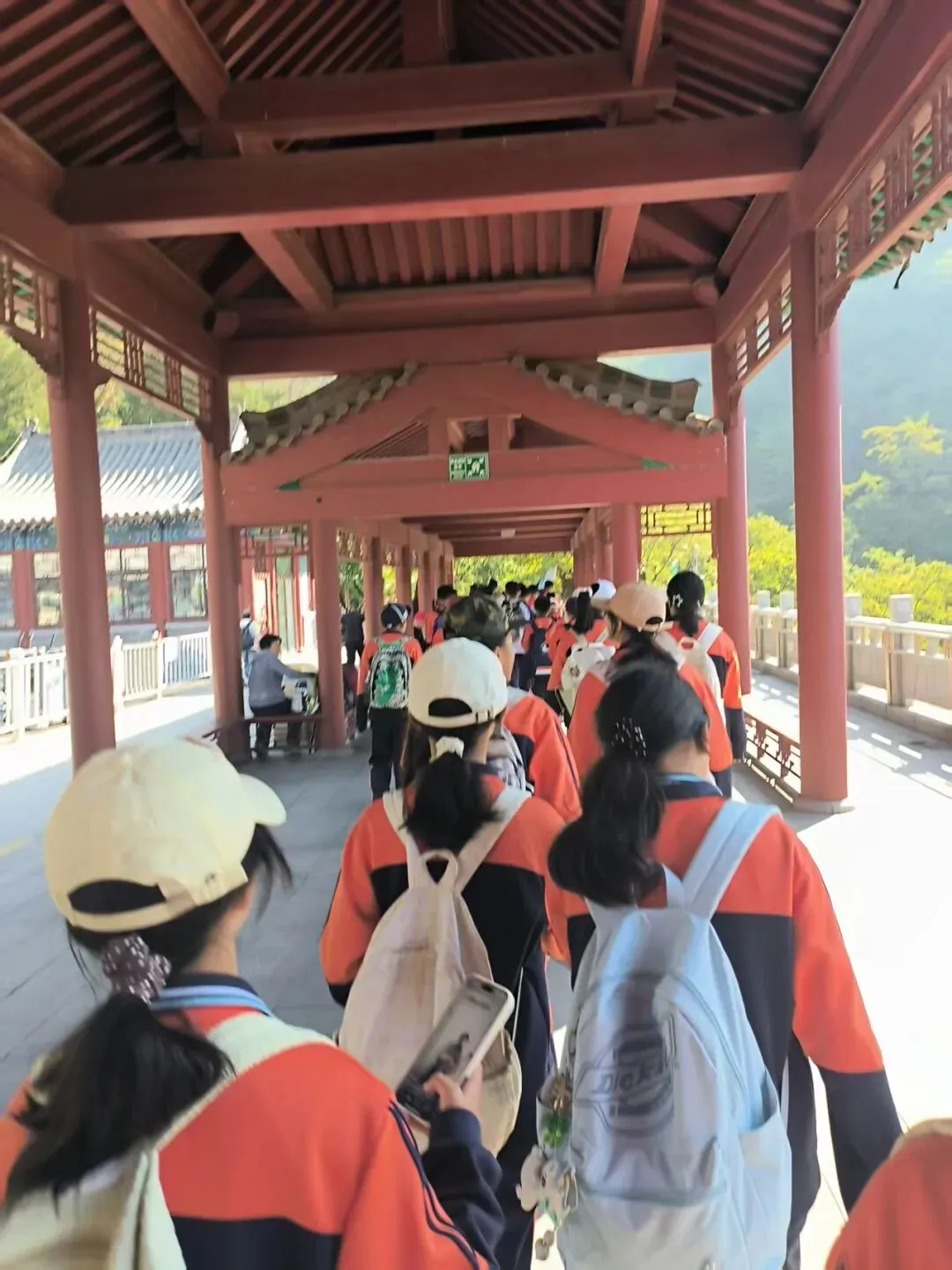 登泰山之巅,立鸿鹄之志|济南西藏中学初二学子泰山研学行-第3张图片-四季读书网