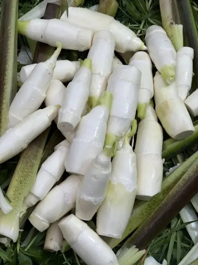 明日农历九月初三,霜信到了,吃2样,做2事,忌1事,该收的收,该等的等-第2张图片-四季读书网 明日农历九月初三,霜信到了,吃2样,做2事,忌1事,该收的收,该等的等-第2张图片-四季读书网