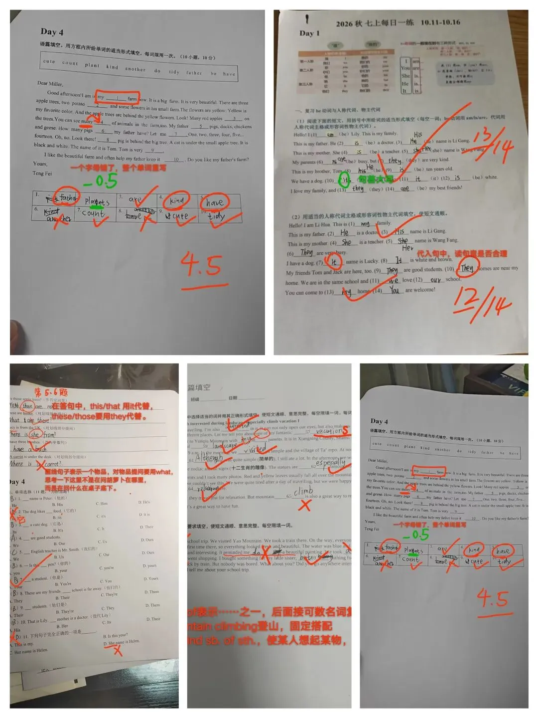 初一第一学期语数英怎么学?-第5张图片-四季读书网