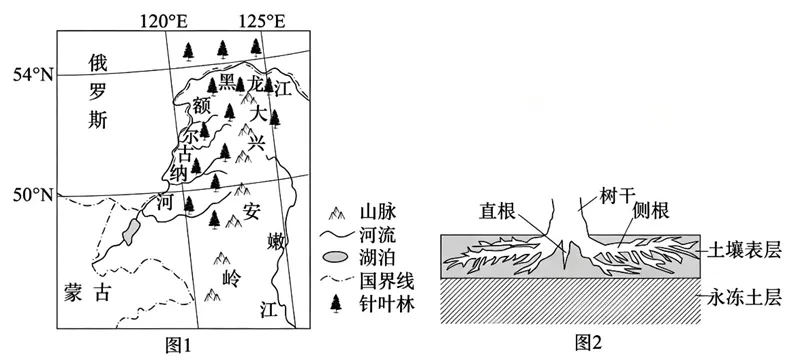 2027年高考地理 每日一练114 泰加林又叫寒温带针叶林或北方针叶林-第1张图片-四季读书网 2027年高考地理 每日一练114 泰加林又叫寒温带针叶林或北方针叶林-第1张图片-四季读书网