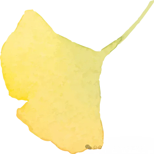 石修银:2026年中考,深度写作的命题导向与教学对策-第2张图片-四季读书网