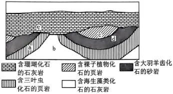 2027届高考地理专项训练三 地球的宇宙环境、演化历史与圈层结构(全国通用)(原卷版)-第10张图片-四季读书网