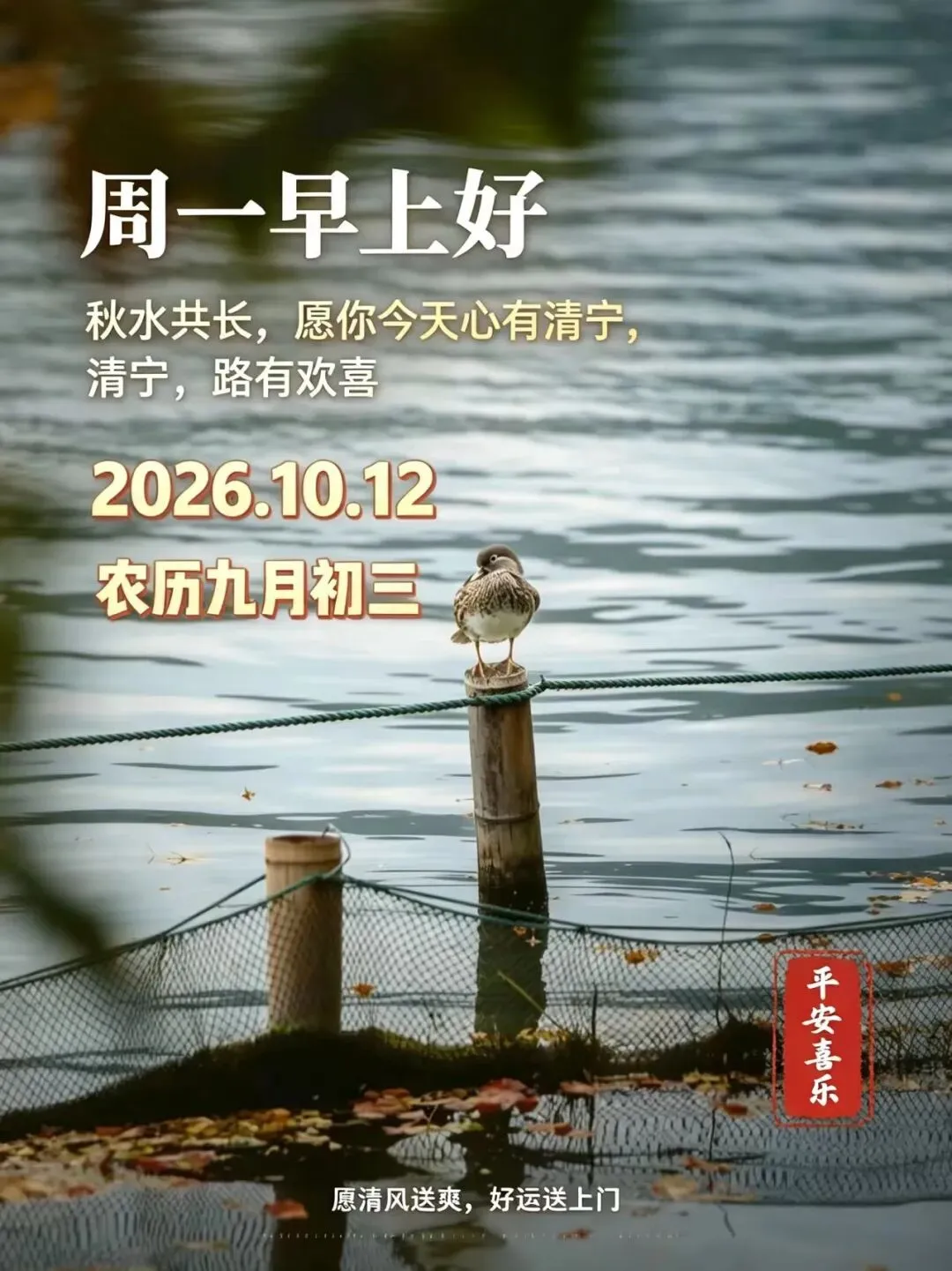 “九月初三雨淋淋,三九寒天雪堵门”,今年冬天冷到哭?看农谚咋说-第2张图片-四季读书网