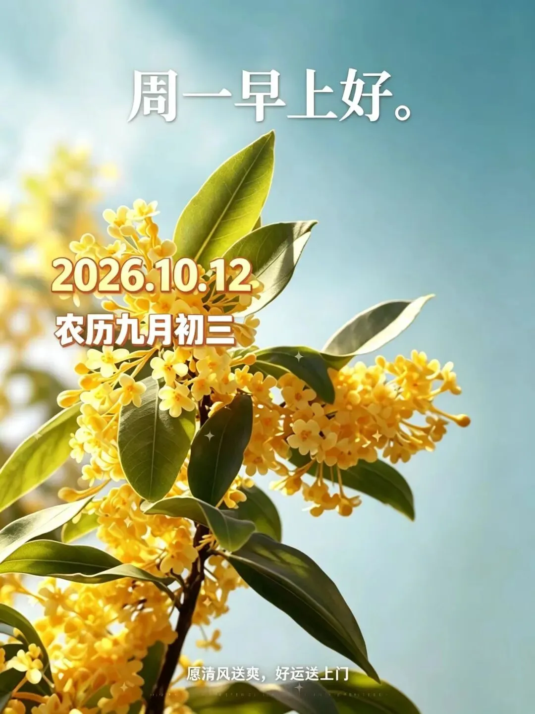 “九月初三雨淋淋,三九寒天雪堵门”,今年冬天冷到哭?看农谚咋说-第3张图片-四季读书网