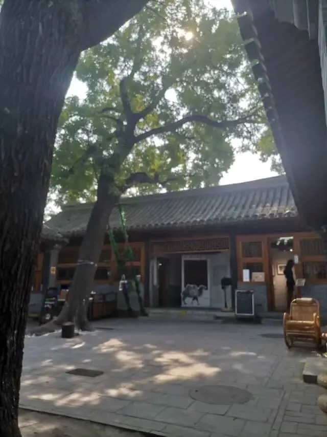 初三这一年(20261011):周末治愈-第2张图片-四季读书网