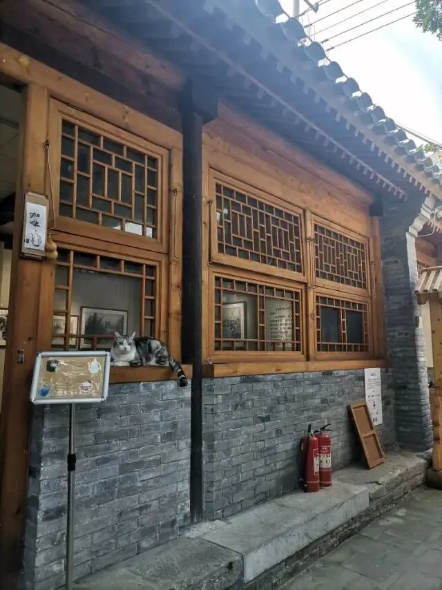 初三这一年(20261011):周末治愈-第4张图片-四季读书网