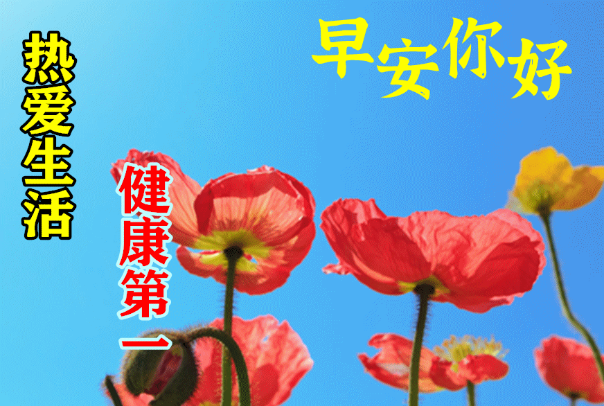早上好,农历九月初三,轻轻的一声祝福:祝你幸福、快乐!-第7张图片-四季读书网 早上好,农历九月初三,轻轻的一声祝福:祝你幸福、快乐!-第7张图片-四季读书网