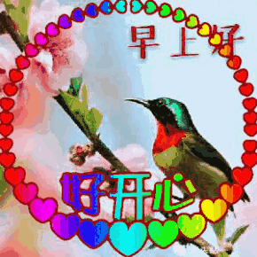 早上好,农历九月初三,轻轻的一声祝福:祝你幸福、快乐!-第13张图片-四季读书网 早上好,农历九月初三,轻轻的一声祝福:祝你幸福、快乐!-第13张图片-四季读书网