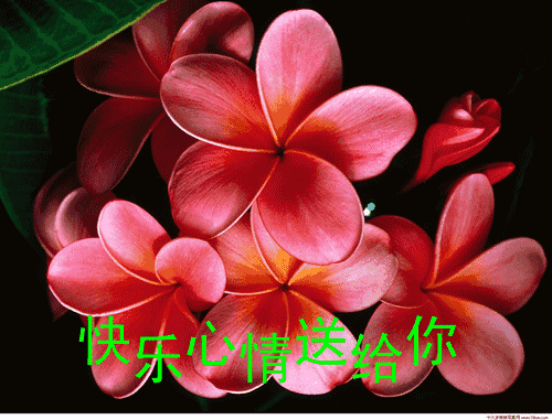 早上好,农历九月初三,轻轻的一声祝福:祝你幸福、快乐!-第16张图片-四季读书网 早上好,农历九月初三,轻轻的一声祝福:祝你幸福、快乐!-第16张图片-四季读书网