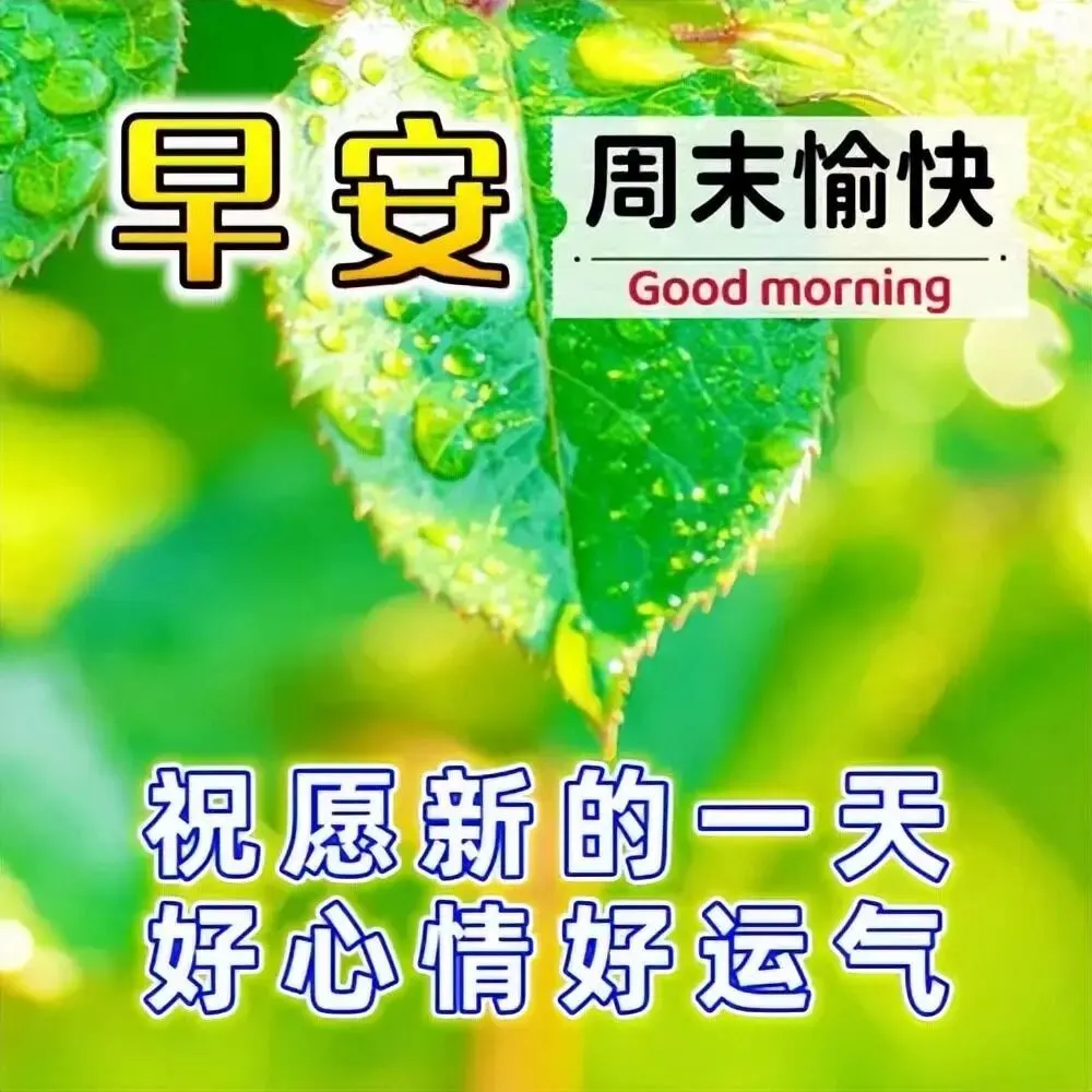 10月12日农历九月初三崭新早安问候吉祥语,最漂亮早上好图片大全早安心语问候大家-第4张图片-四季读书网 10月12日农历九月初三崭新早安问候吉祥语,最漂亮早上好图片大全早安心语问候大家-第4张图片-四季读书网
