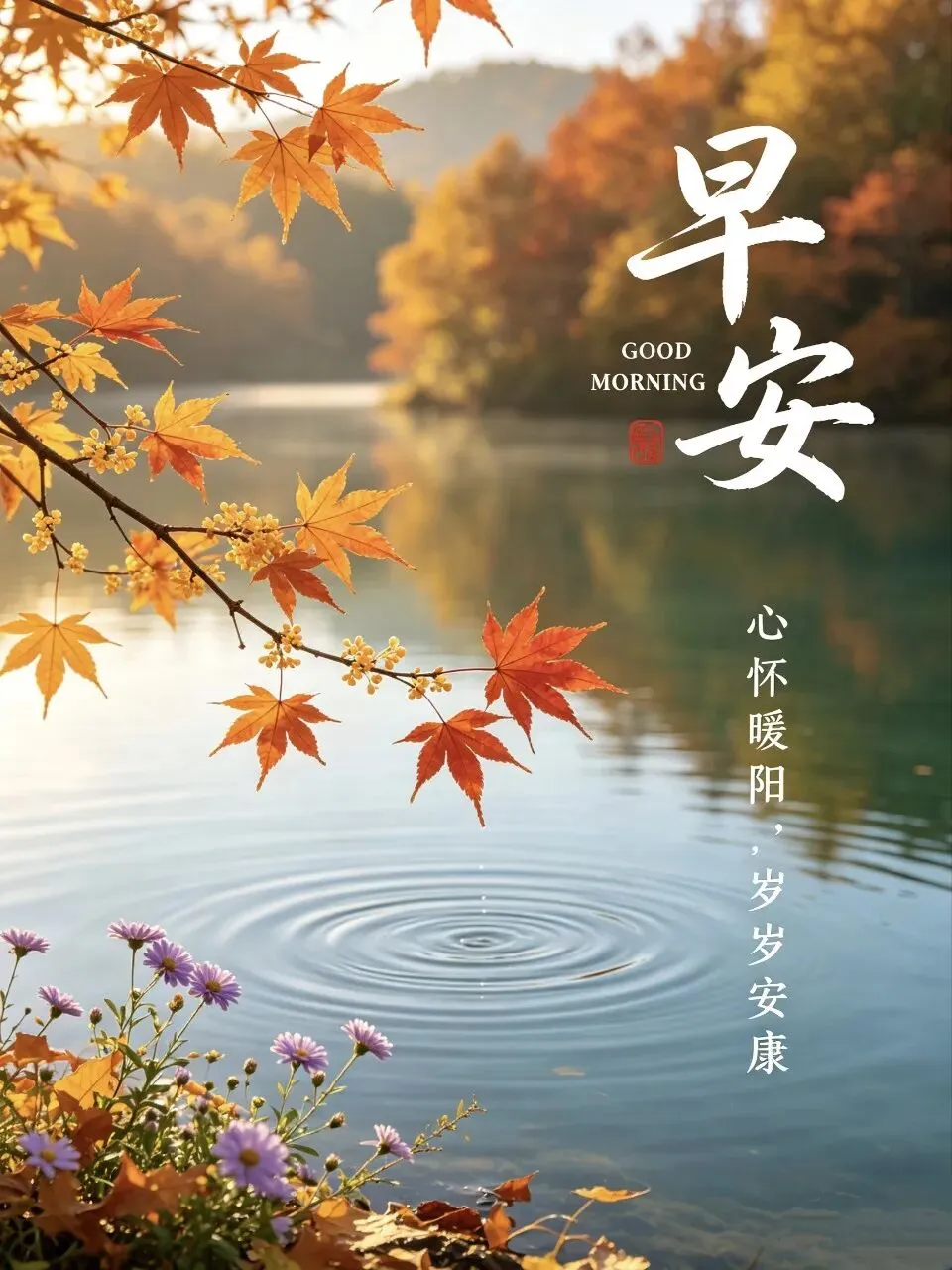九月初三,霜风渐起,愿君身安体健,岁岁皆得清宁,新周顺遂-第2张图片-四季读书网